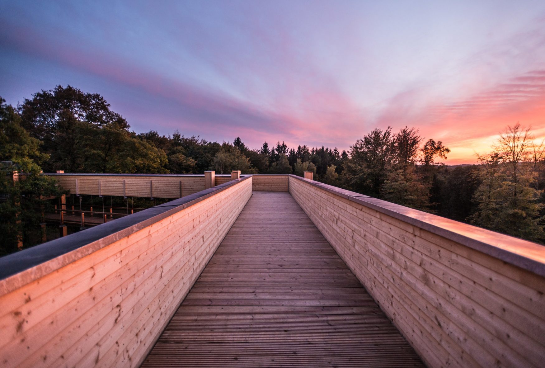 Blick auf panarbora Waldbroel Foto: Dominik Ketz