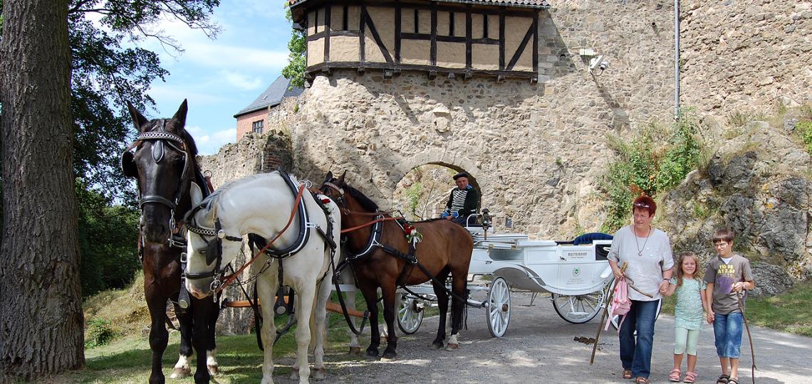 Burg Falkenstein im Harz Foto: Weirauch