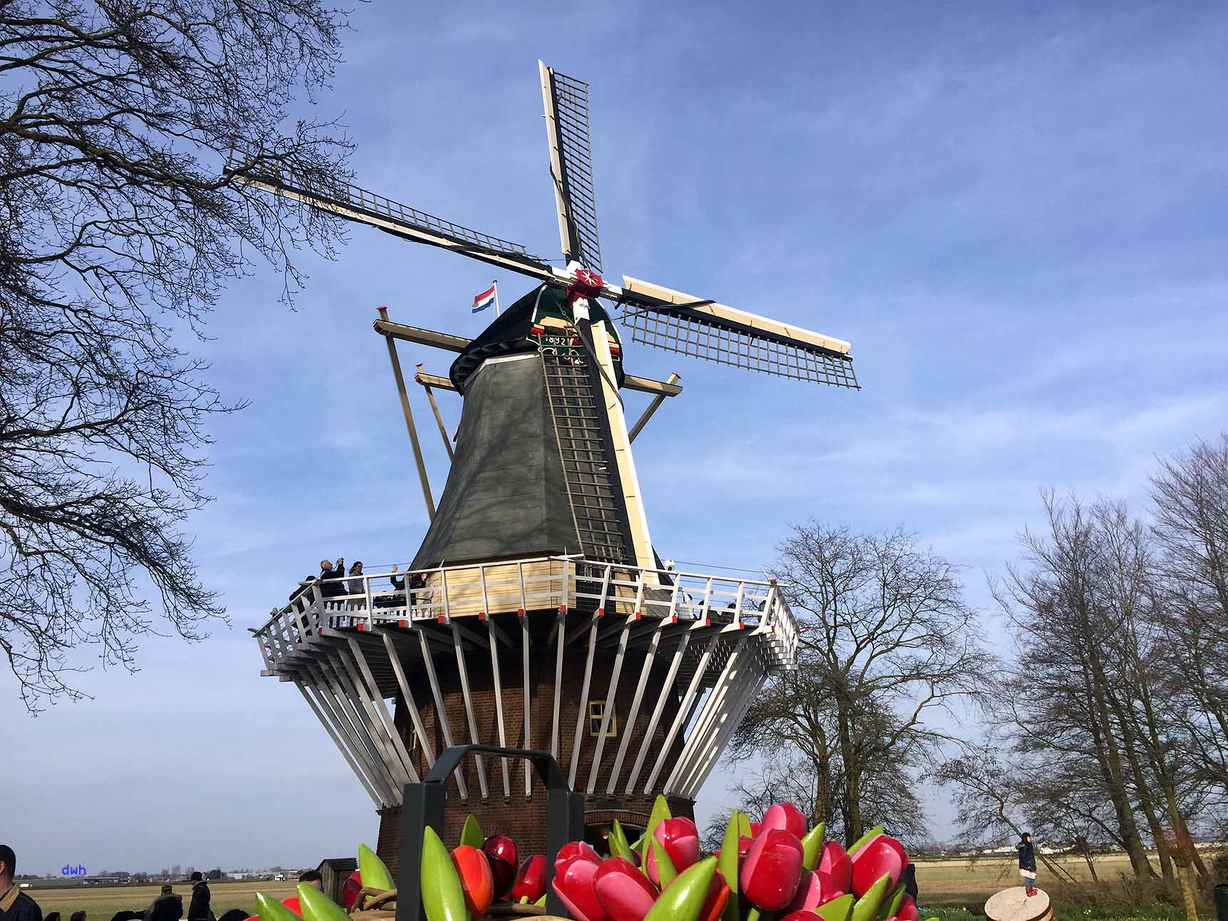 Keukenhof Und Tulpenblute Einfach Raus
