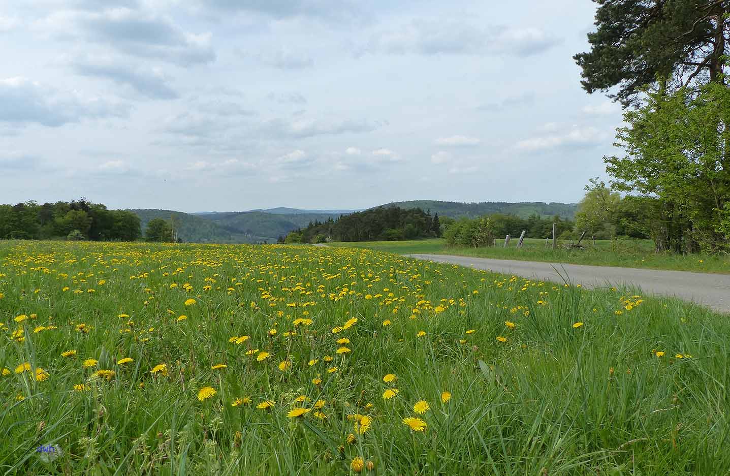 Nationalpark Kellerwald - Edersee