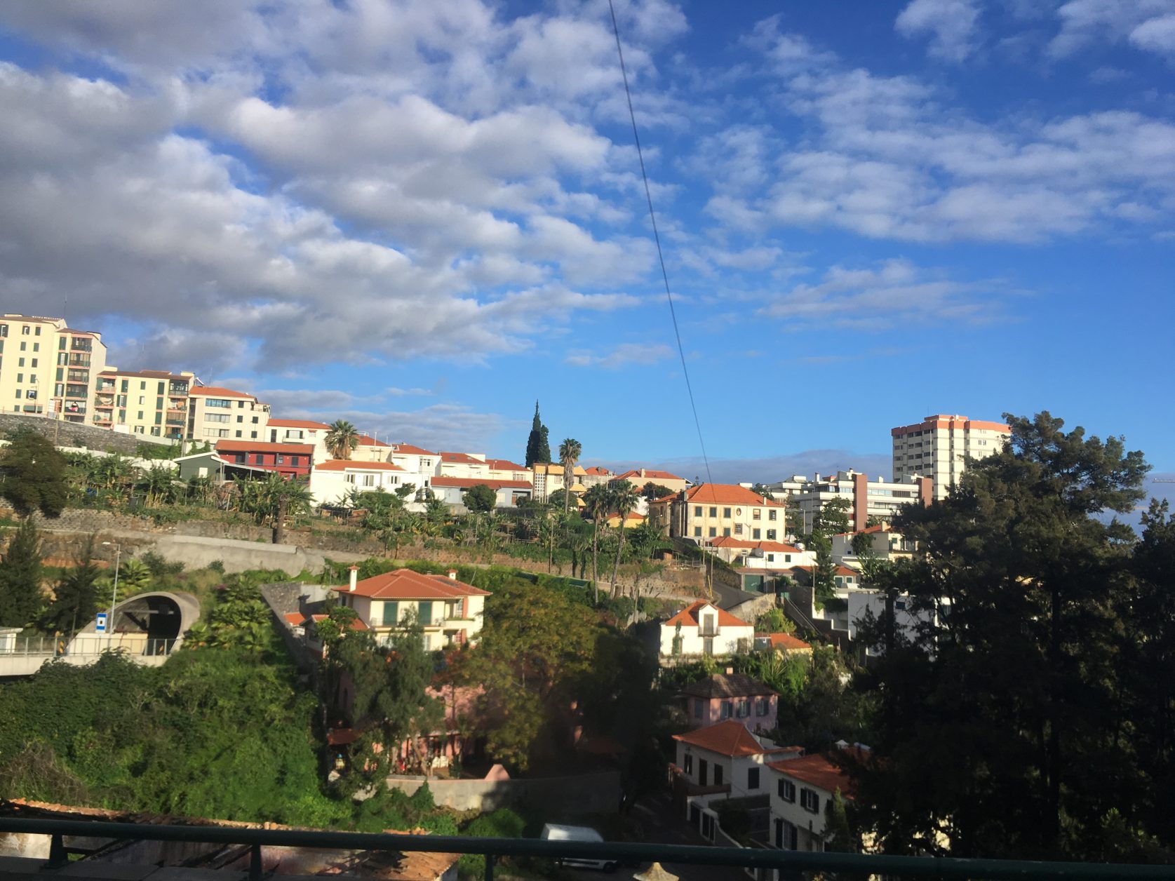 Madeira Ende Januar 2017, Foto: D. Weirauch