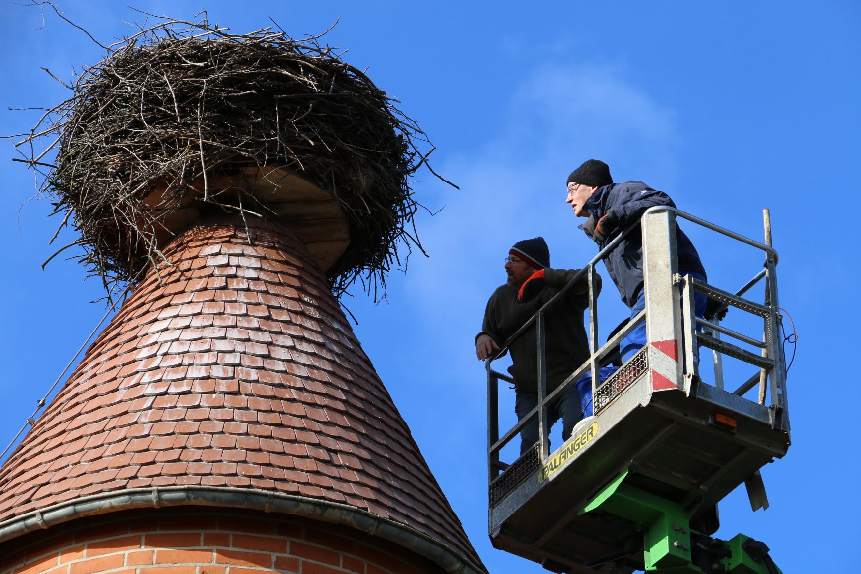 Rund 40 Brutstätten stehen den Störchen in Deutschlands storchenreichstem Dorf Rühstädt zur Verfügung. Die Nester wurden jetzt kontrolliert und für die neue Storchensaison fit gemacht. Bildquelle:J.Schormann/LfU.