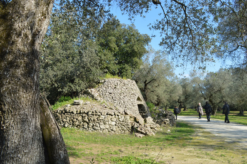 Olivenbäume mit dem für Apulien typischen Trulli