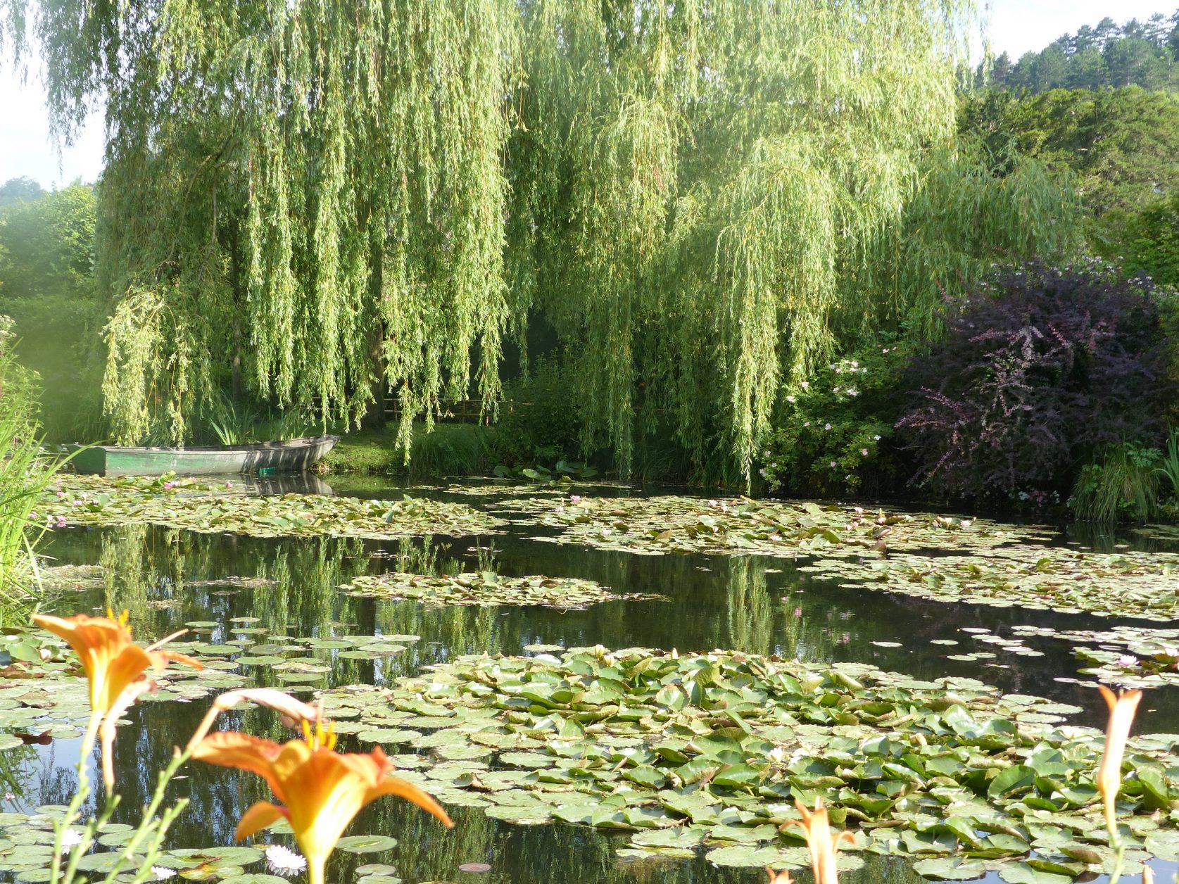 Der berühmte Seerosenteich in Monets Garten Foto: Kärstin Weirauch