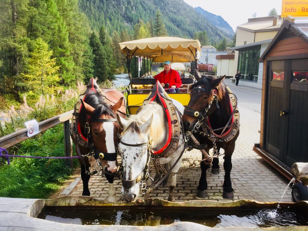 Mit 3 PS geht es in das Val de Roseg von Pontresina, Foto: Weirauch