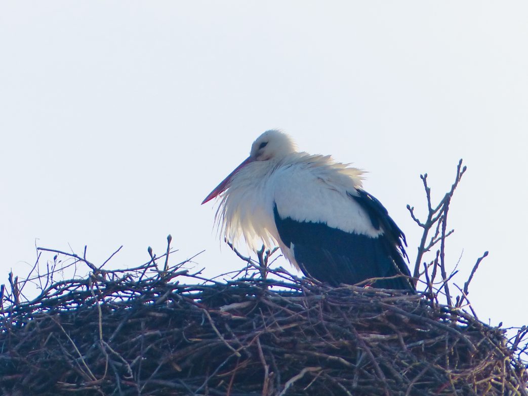 Willkommen im Havelland