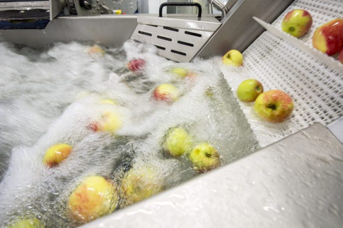 Wellness für Äpfel Foto: Kohl Bergapfelsäfte