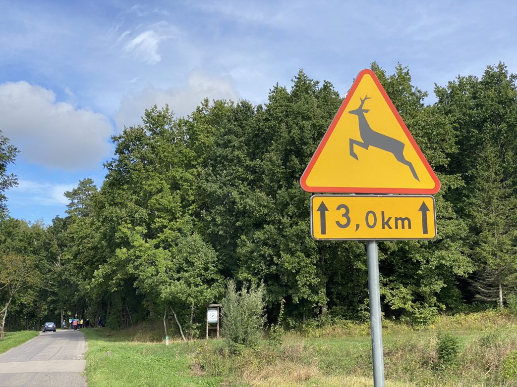Masuren Polen Fahrrad Radfahren