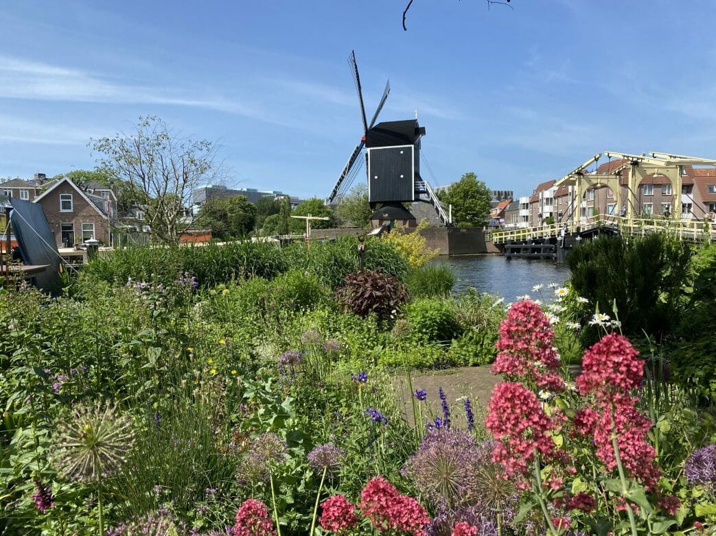 Leiden.Niederlande (